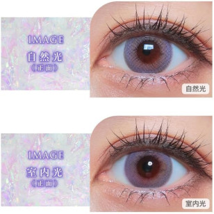 COLOR MAJORITY 1Day Aurora Laveige カラーマジョリティー オーロララベージュ